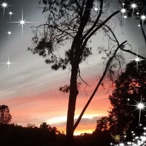 Meet your Posher, Brandi